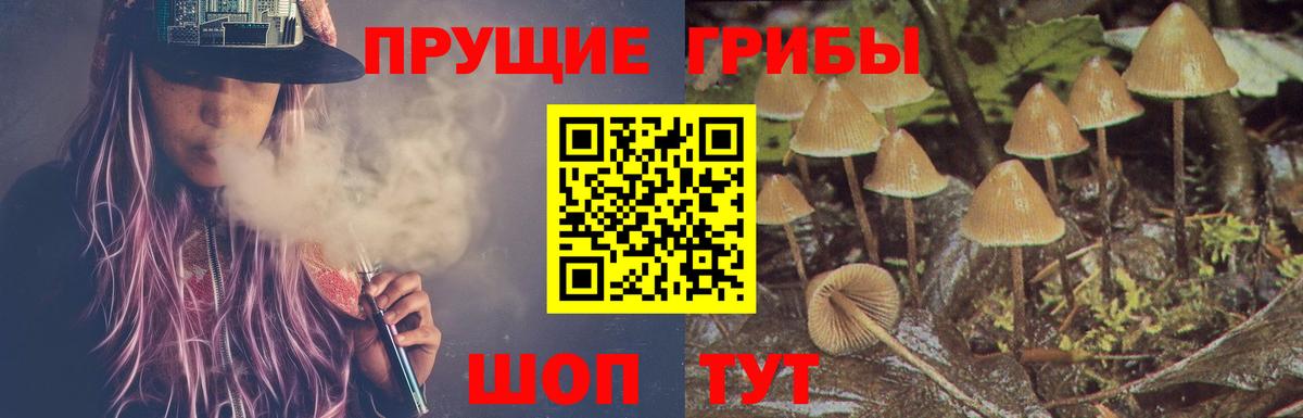 Комсомольск-на-Амуре  Псилоцибиновые грибы прущие грибы  Вход с VPN 